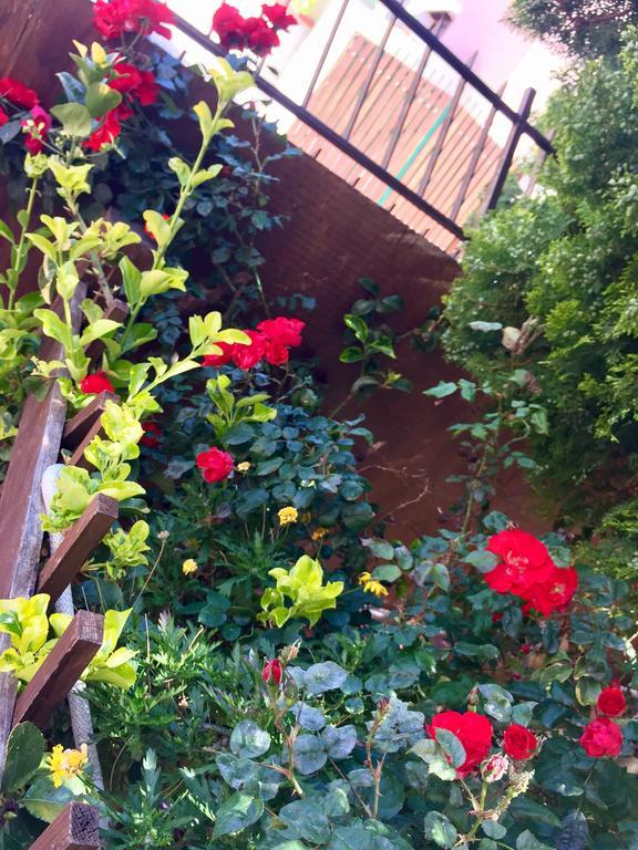 B&B Limone San Leone Luaran gambar